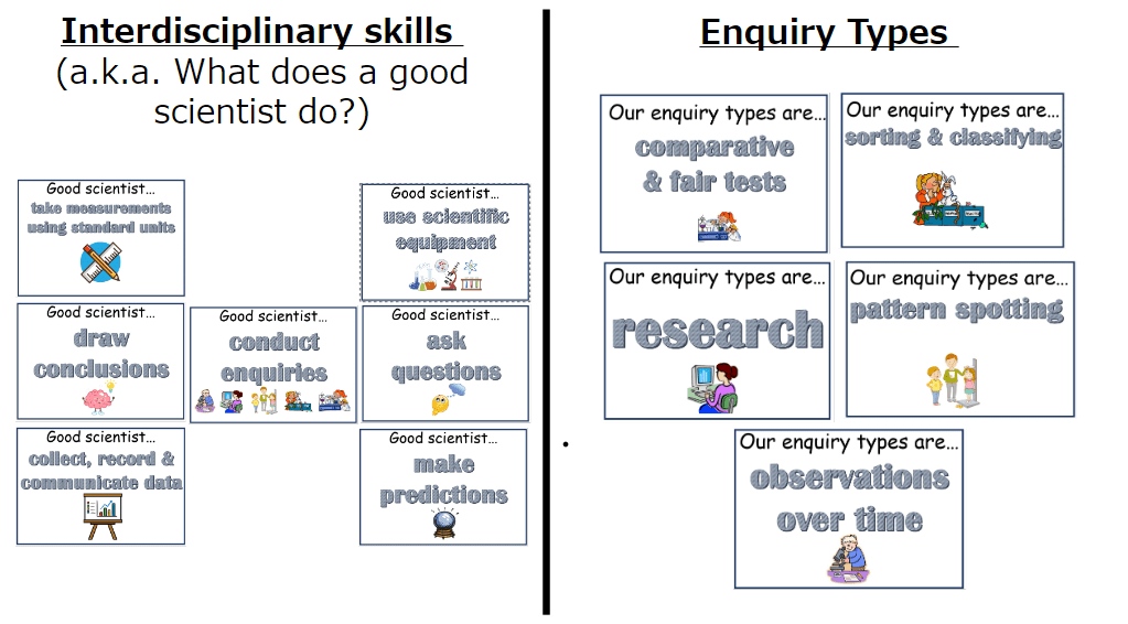 Science Skills And Enquiry Types